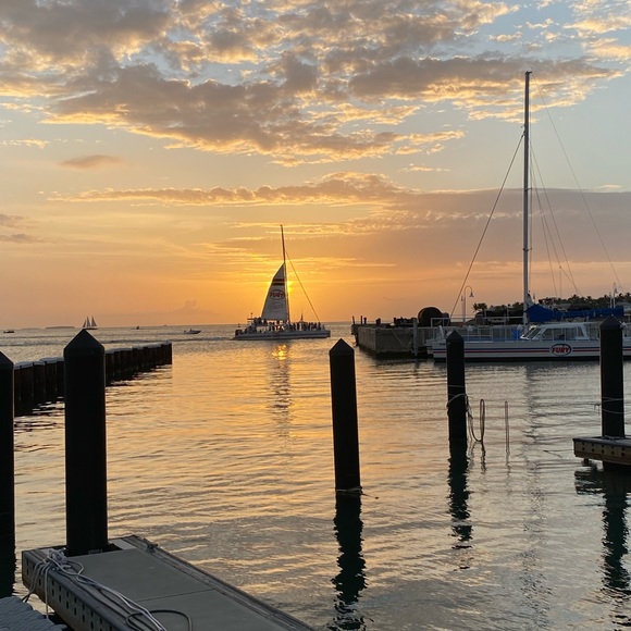 Meet your Posher, Cathy - Picture 7 of 8